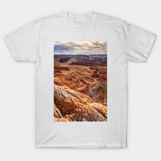 The Toadstool Trail at Grand Staircase-Escalante National Monument T-Shirt